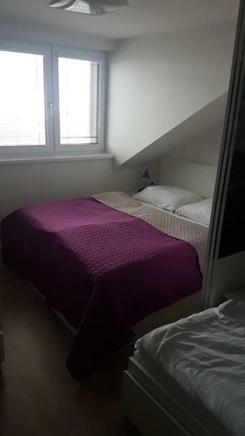 Apartmány Dolní Morava Esterno foto